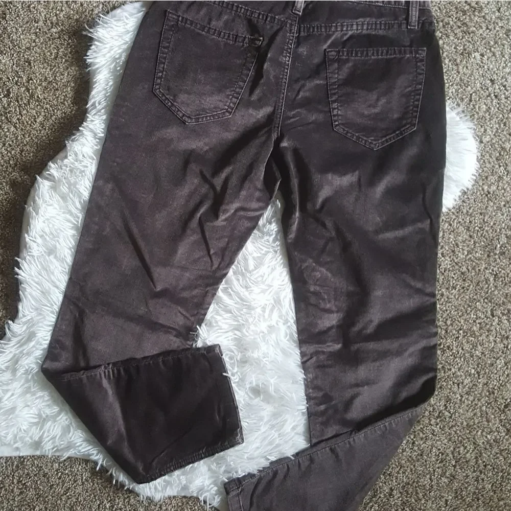 Theory Velour Pants Brown Womens Size 4‎